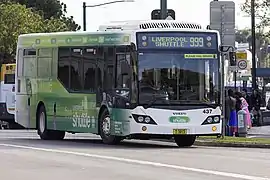 Image 31A shuttle bus service in Sydney (from Public transport bus service)