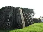Ruins of Antón Lizardo