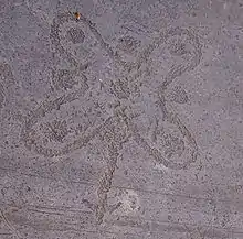 One of the several prehistoric engravings in Valcamonica.
